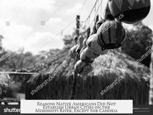 Reasons Native Americans Did Not Establish Urban Cities on the Mississippi River, Except for Cahokia