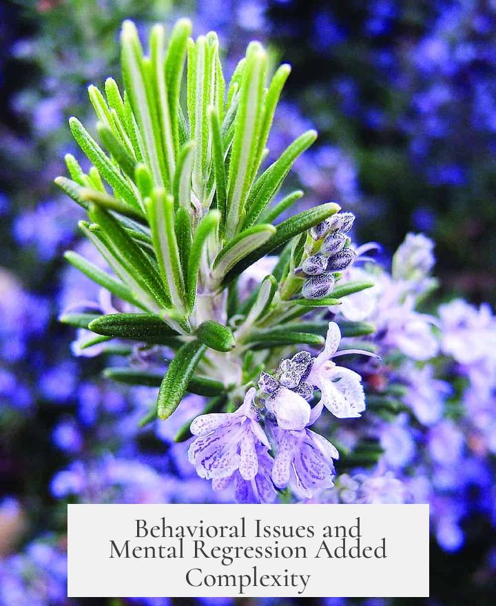 Behavioral Issues and Mental Regression Added Complexity