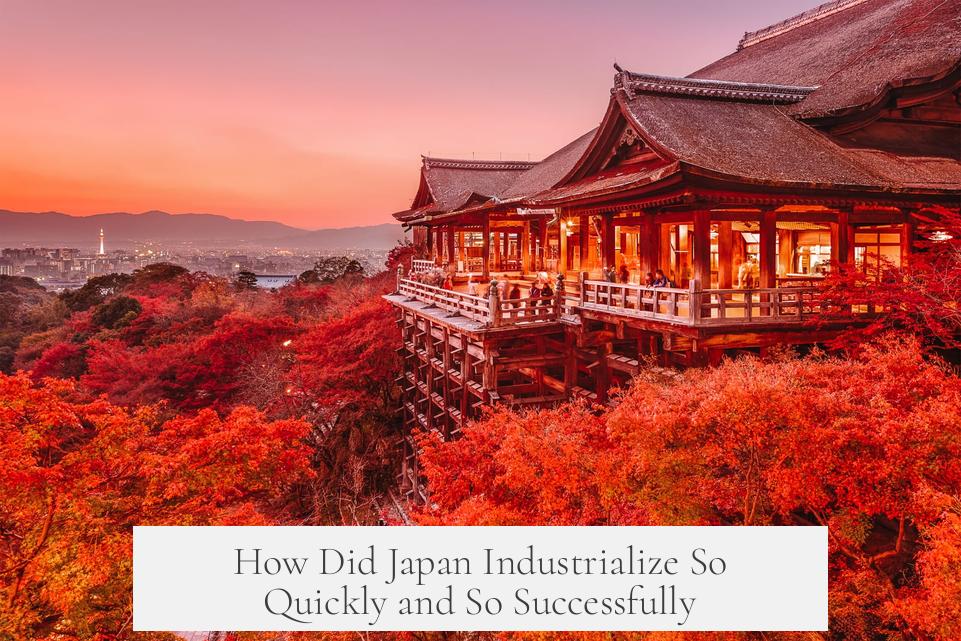 How Did Japan Industrialize So Quickly and So Successfully?
