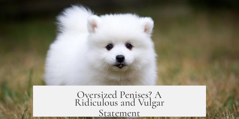 Oversized Penises? A Ridiculous and Vulgar Statement