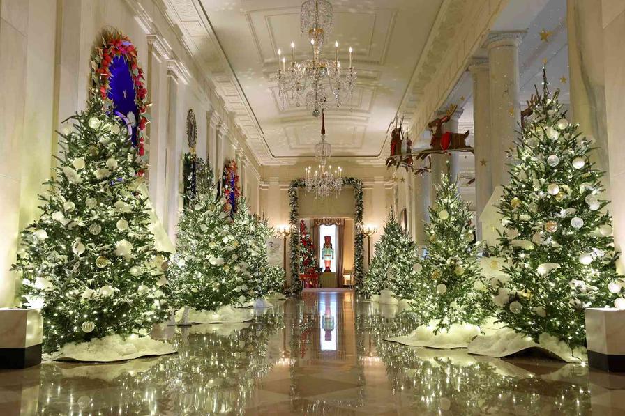 Before the glow of Dickens’A Christmas Carolin 1843, Christmas dinners were a diverse buffet, featuring all sorts of meats. Britain and America alike saw Christmas goose, turkey, beef, pork, and even exotic options take the stage. No single bird had a monopoly on Christmas tables back then.