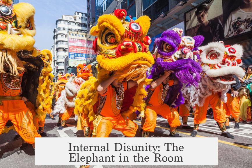 Internal Disunity: The Elephant in the Room