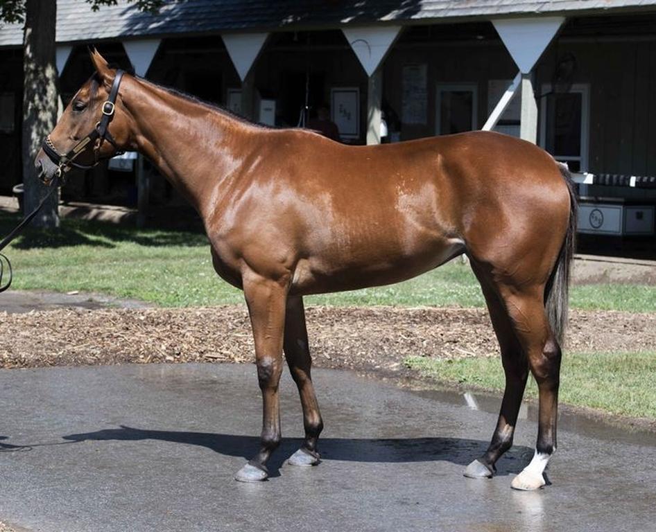 What's up with Race Horse Names?