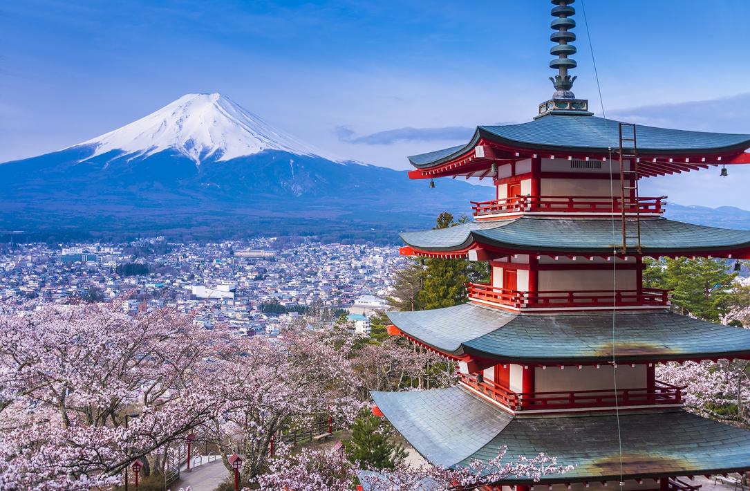 The Meiji Restoration marked a shift toward encouraging meat consumption to modernize Japan. While cattle, pigs, and chickens became common meat sources raised on farms, dogs remained outside this practice. There was neither significant wild dog hunting nor a cultural push to farm dogs for food.