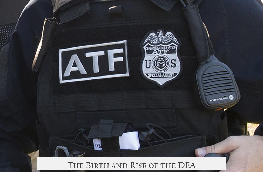The Birth and Rise of the DEA
