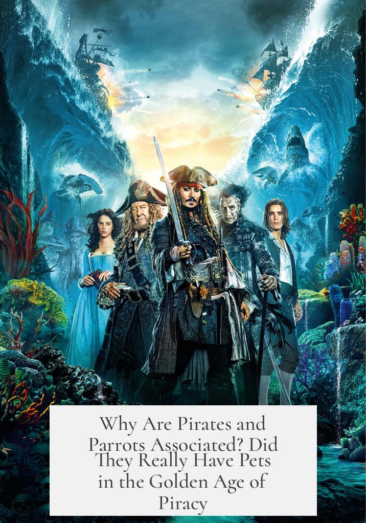Why Are Pirates and Parrots Associated? Did They Really Have Pets in the Golden Age of Piracy?
