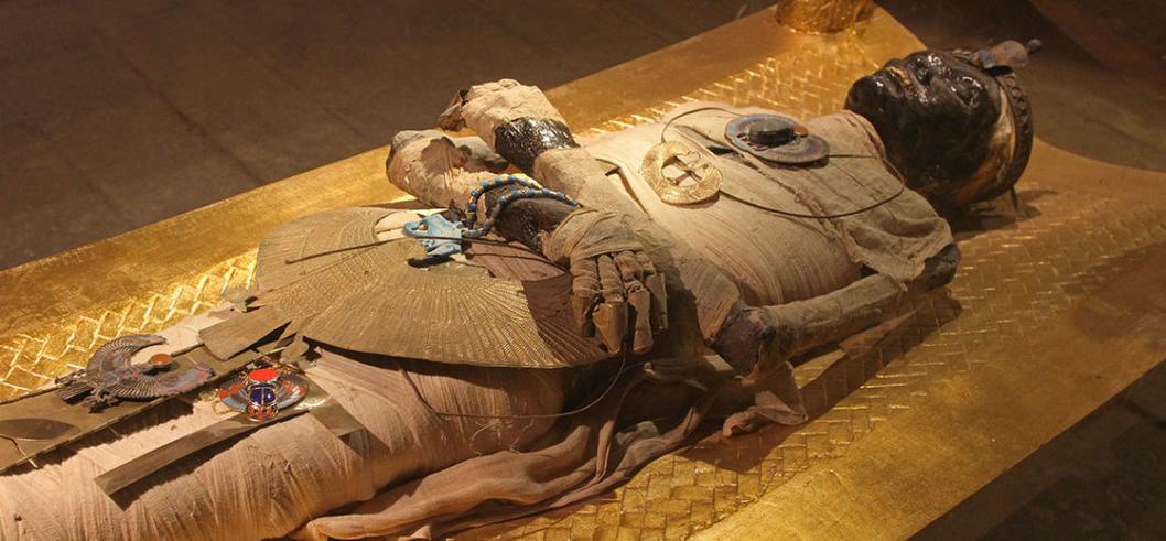Students admitted into Egyptology PhD programs come from diverse academic backgrounds. Common fields include religion, classics, anthropology, and history. This diversity reflects the interdisciplinary nature of Egyptology, which combines linguistic, archaeological, and cultural studies.