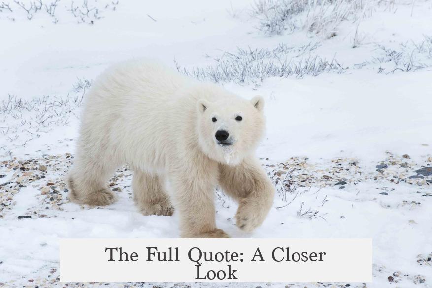 The Full Quote: A Closer Look
