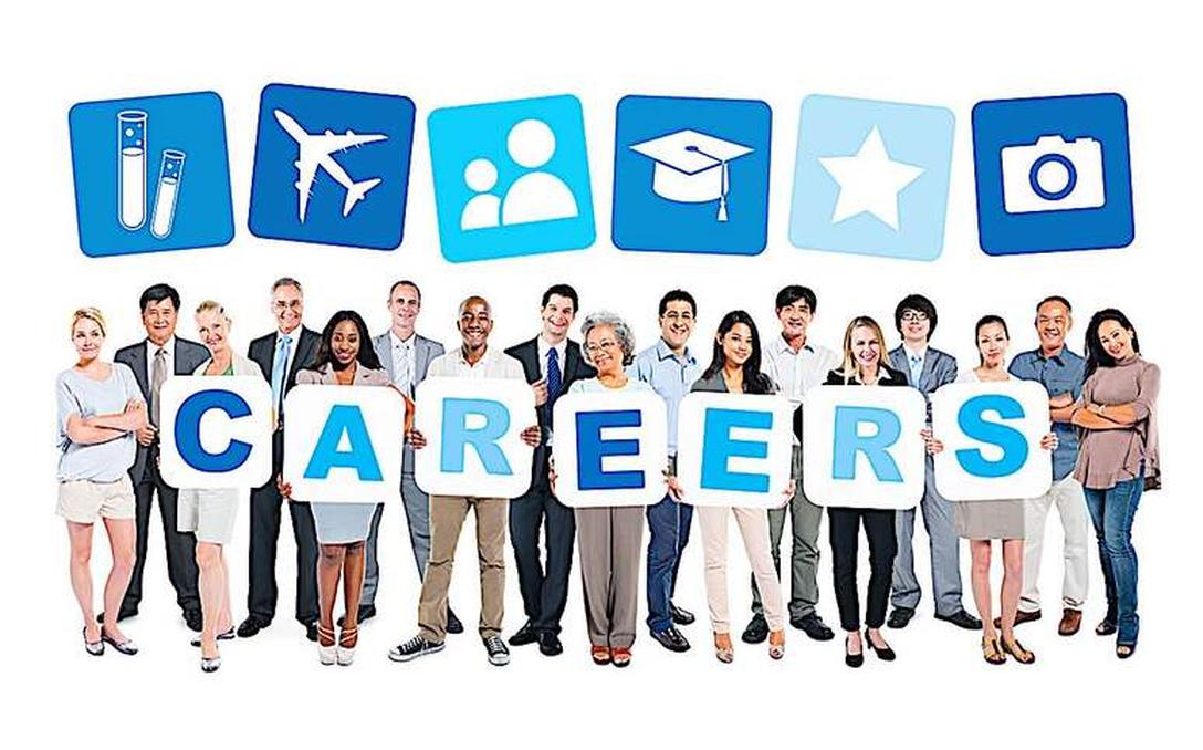 A history degree opens diverse career paths beyond traditional expectations. Graduates often work as teachers, lawyers, archivists, librarians, journalists, marketers, or consultants. Many pursue law school, teaching, or government roles, yet history majors also excel in less obvious sectors like non-profits, park services, and management consulting.