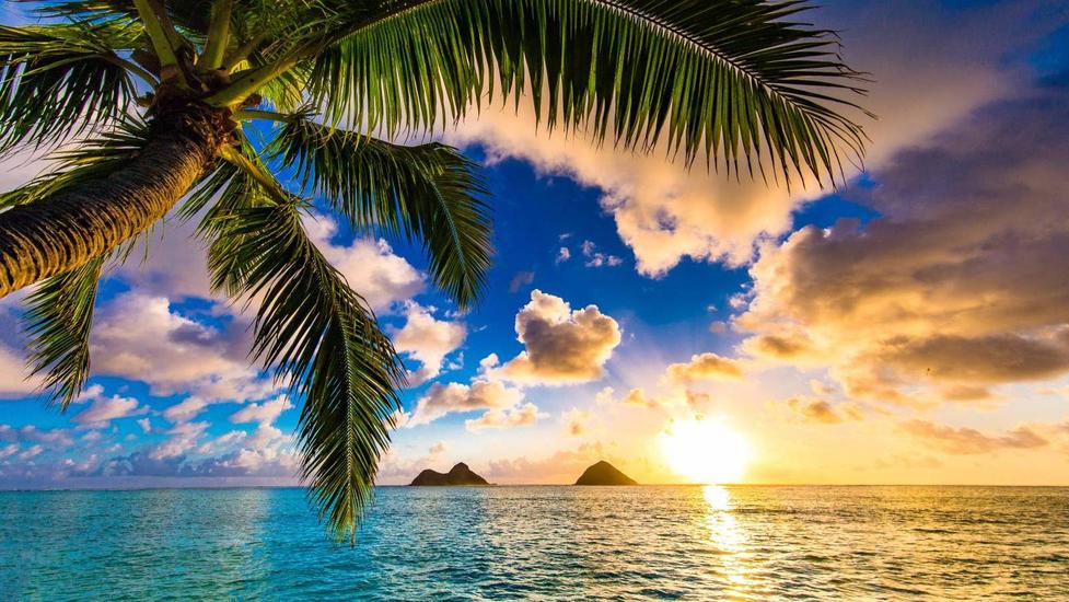 Hawaiian natives reached the Hawaiian Islands through deliberate Polynesian voyaging across the Pacific Ocean using advanced navigational skills and robust double-hulled canoes.The initial settlement comes from skilled Pacific explorers who traveled thousands of miles from other Polynesian islands.
