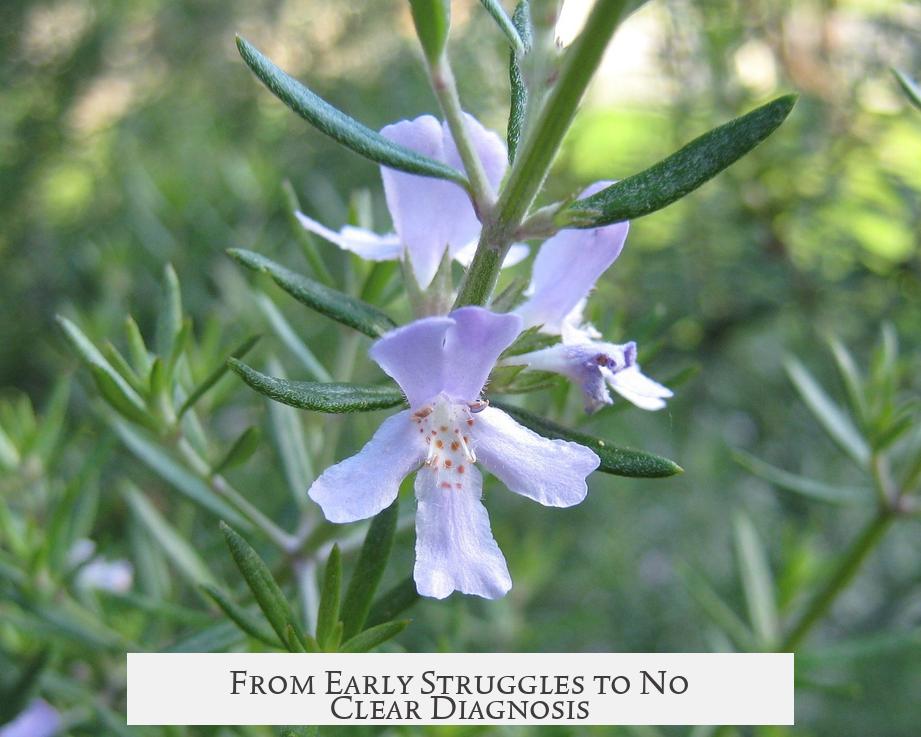 From Early Struggles to No Clear Diagnosis
