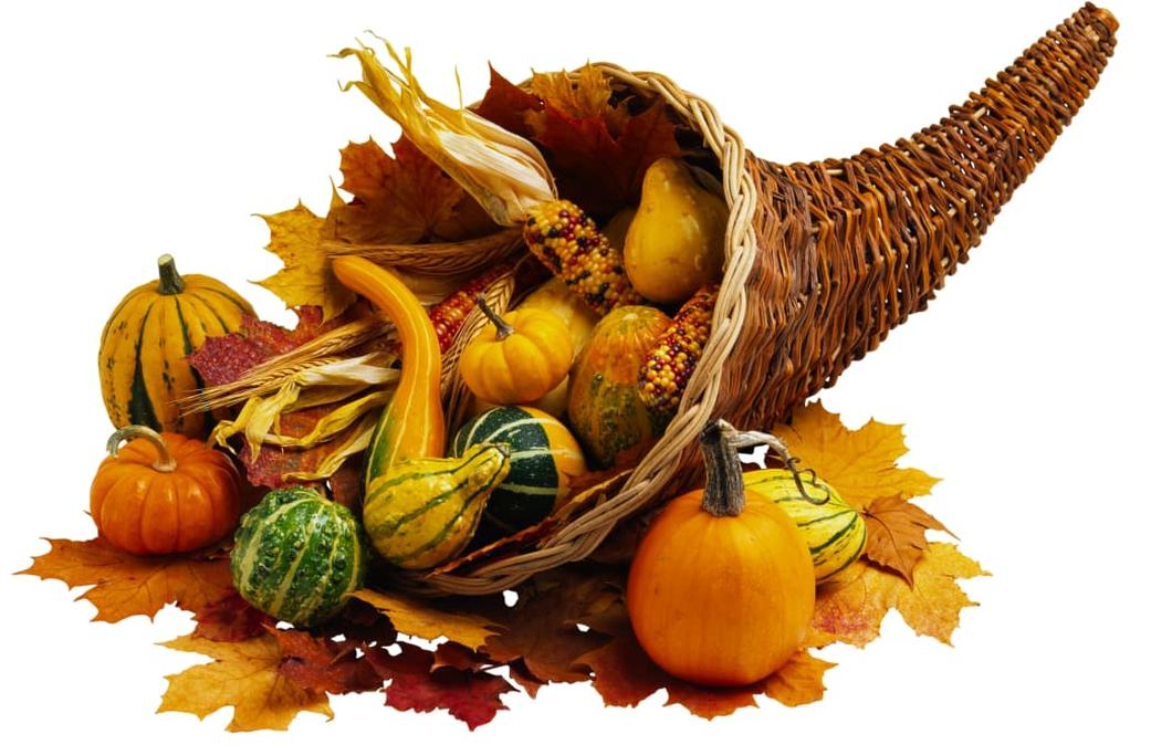 Pilgrims’ Menu: Earth’s Bounty from Water and Land