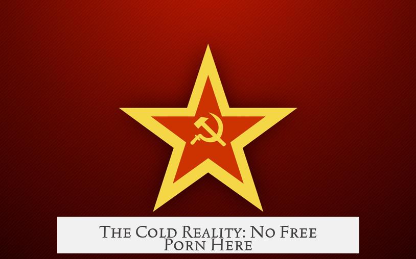The Cold Reality: No Free Porn Here