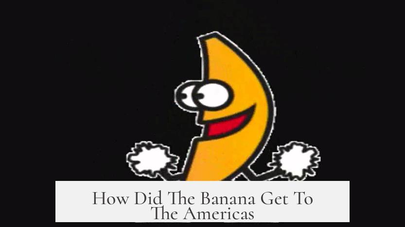 How Did The Banana Get To The Americas?
