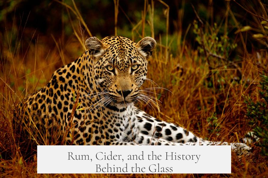 Rum, Cider, and the History Behind the Glass