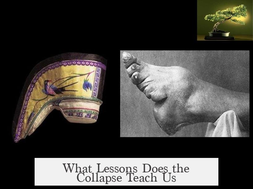 What Lessons Does the Collapse Teach Us?