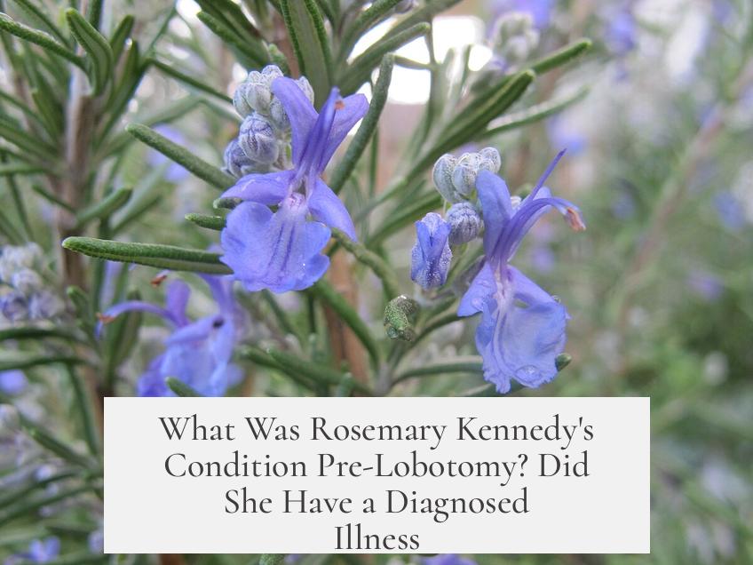 What Was Rosemary Kennedy's Condition Pre-Lobotomy? Did She Have a Diagnosed Illness?