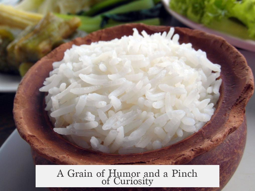 A Grain of Humor and a Pinch of Curiosity