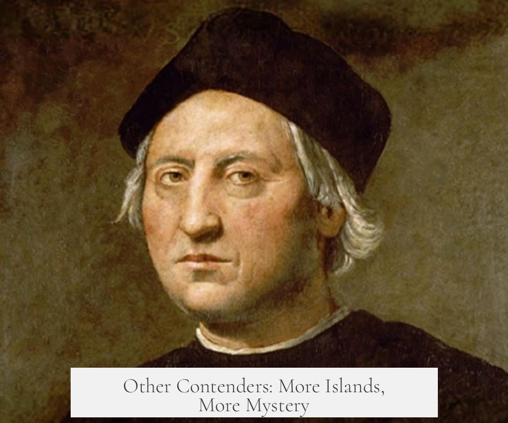 Other Contenders: More Islands, More Mystery