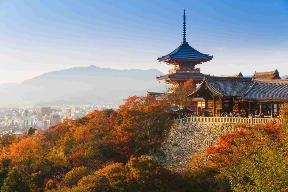 Japan doesn’t have a tradition of eating dog meat because its historical taboos, legal restrictions, and unique cultural factors prevented dogs from being raised or consumed as food, unlike some neighboring Asian countries like China and Korea.This absence has helped Japan sidestep the heated debates seen elsewhere.