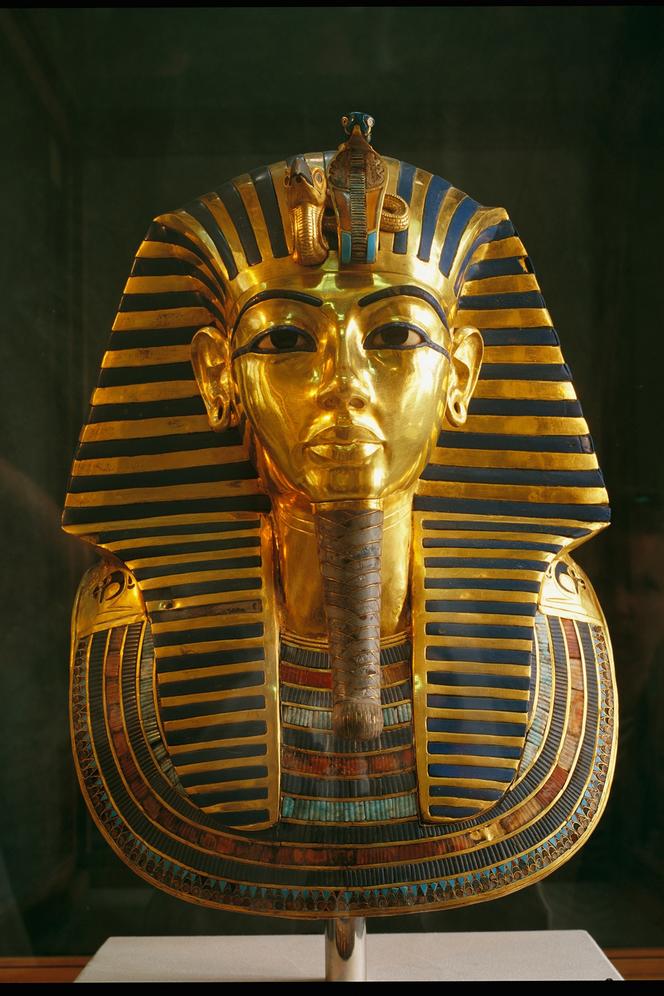 Becoming an Egyptologist is a challenging endeavor that typically requires earning a PhD in the field. The process demands dedication, specialized study, and excellent academic fit with potential advisors.