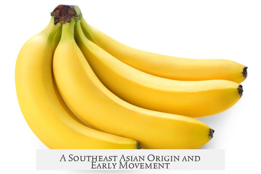 A Southeast Asian Origin and Early Movement