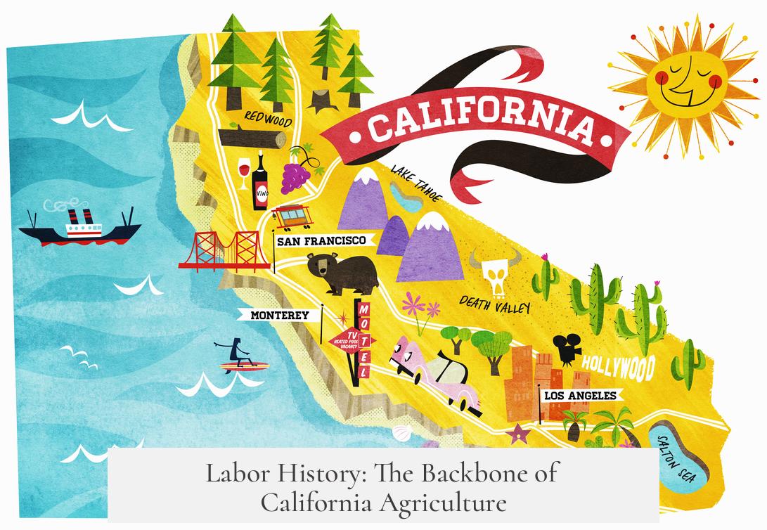 Labor History: The Backbone of California Agriculture