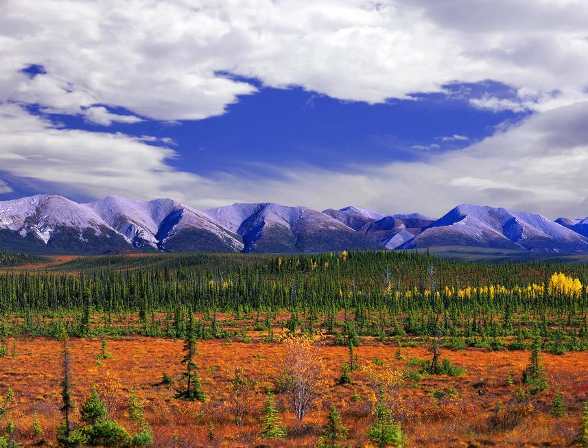 The song’s references are both lyrical and symbolic: it acknowledges these explorers while marking the singer's (or narrator’s) personal late arrival to Canada’s exploration narrative. This layering adds depth to the song by connecting individual journeys across centuries.