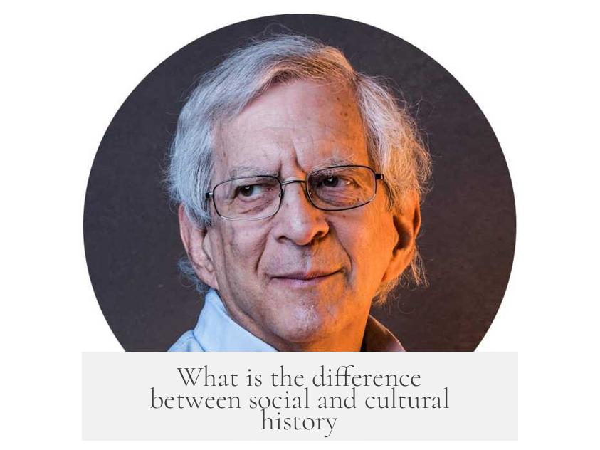 What is the difference between social and cultural history?
