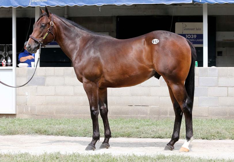 Each horse breed might have different naming rules or traditions. Thoroughbreds adhere to The Jockey Club standards, but other breeds may be more flexible or follow regional customs. This variety adds to the richness of horse naming practices.