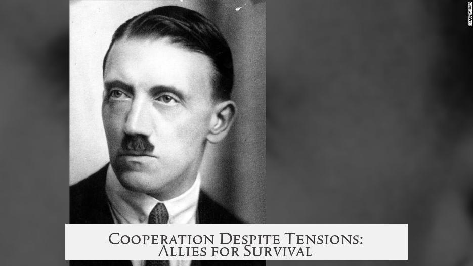 Cooperation Despite Tensions: Allies for Survival
