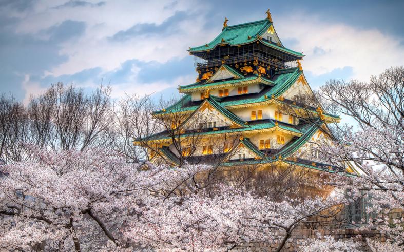 What Can We Learn from Japan’s Decision?