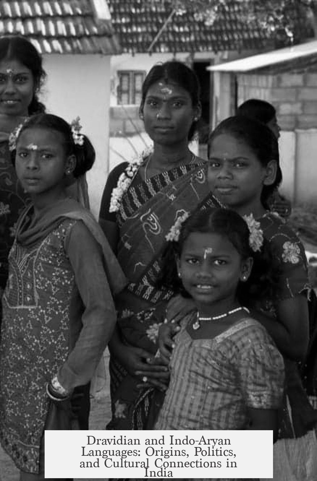 Dravidian and Indo-Aryan Languages: Origins, Politics, and Cultural Connections in India