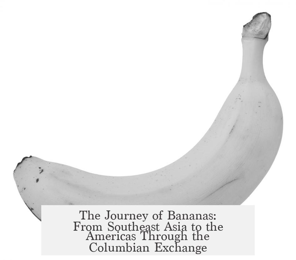 The Journey of Bananas: From Southeast Asia to the Americas Through the Columbian Exchange