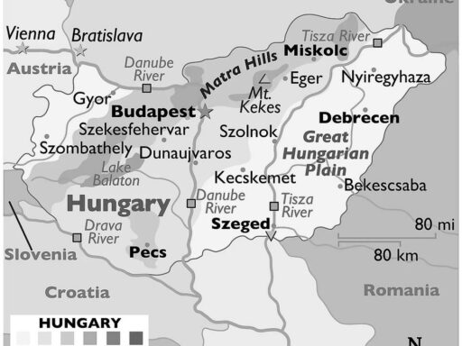 Hungary's Rise to Power in Water Polo: History, Tactics, and National Pride