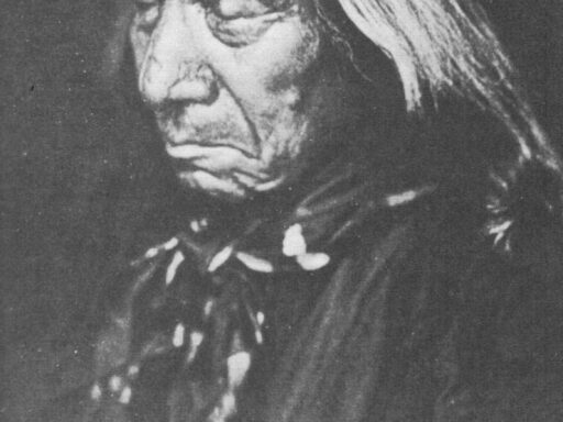 Assessing the Reliability and Continued Relevance of Bury My Heart At Wounded Knee Today