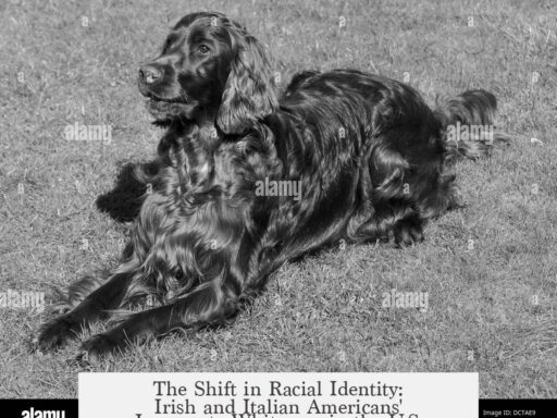 The Shift in Racial Identity: Irish and Italian Americans' Journey to Whiteness in the U.S.