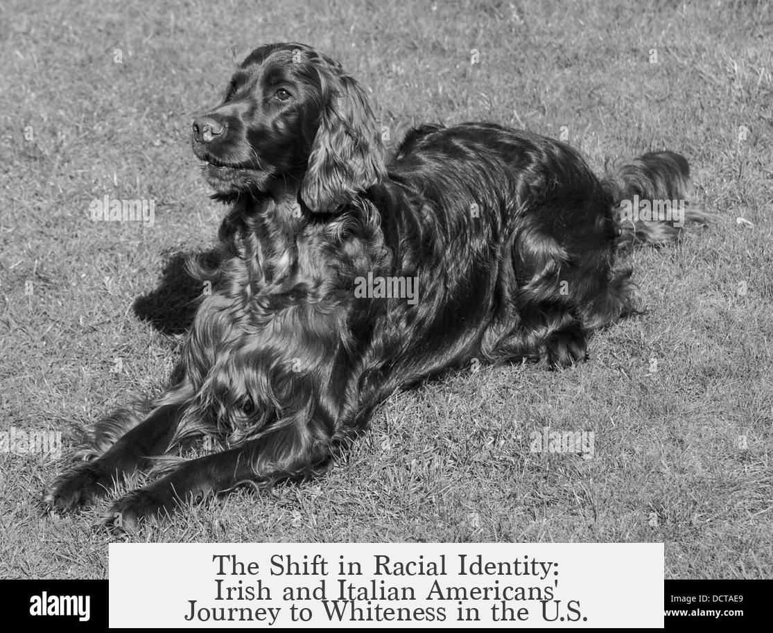 The Shift in Racial Identity: Irish and Italian Americans' Journey to Whiteness in the U.S.