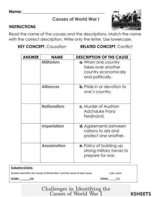 Challenges in Identifying the Causes of World War I
