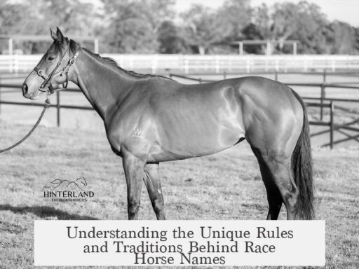 Understanding the Unique Rules and Traditions Behind Race Horse Names