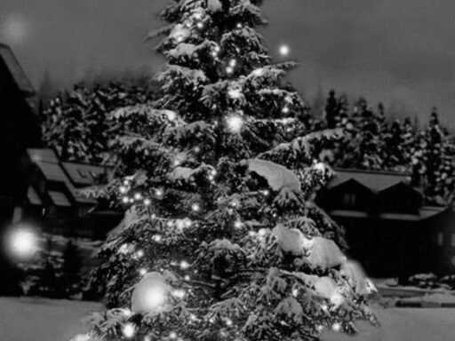 The Decline of Christmas Goose: Reasons Behind Its Fall From Popularity